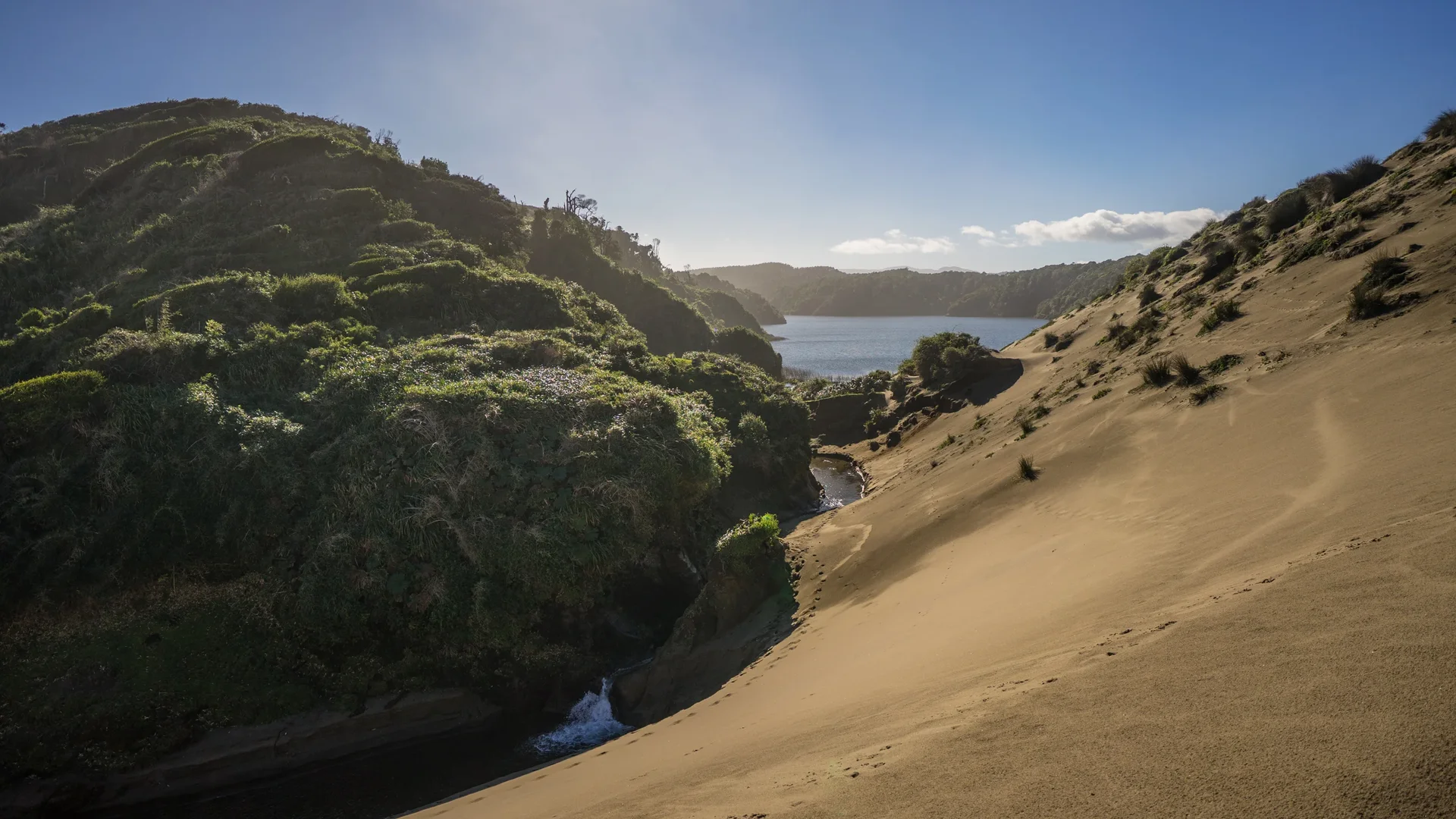 Argentina dune landscape with wild nature and coastal reserve